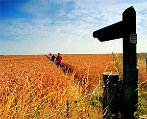 Public Footpath Finger Post